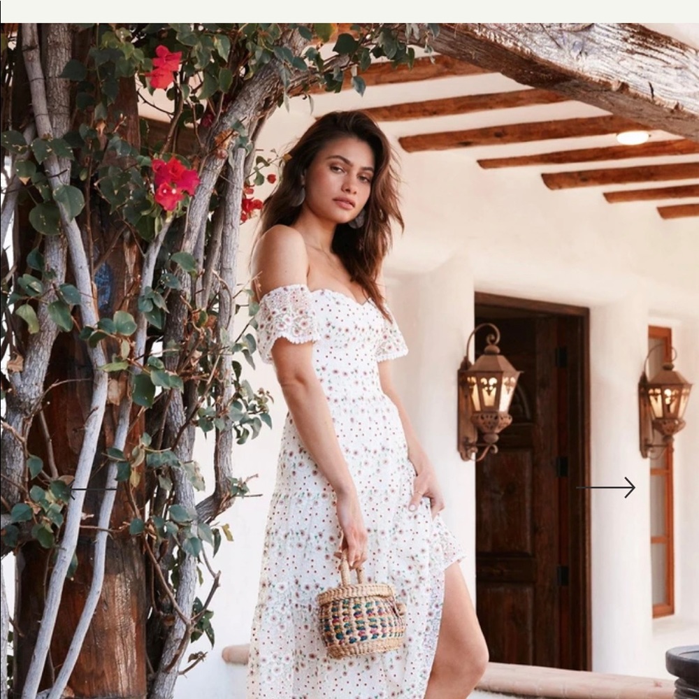 Dress the Population River Embroidered Floral